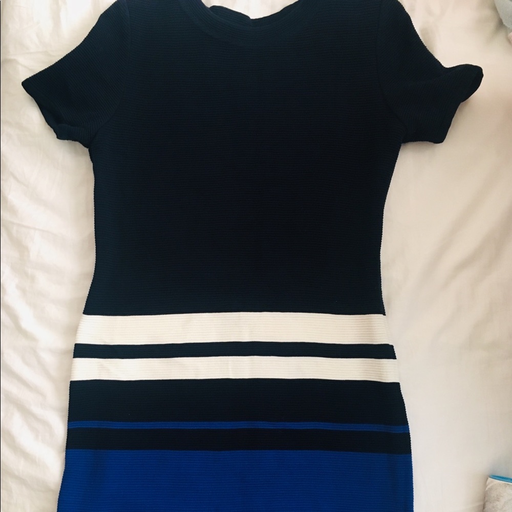 Royal Blue Dana Buchman Dress